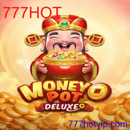 MoneyPotDELUXE